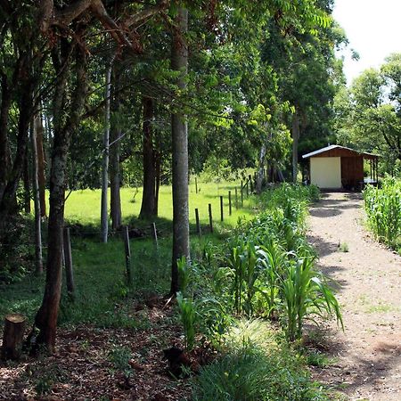 Cabana Na Serra Gaucha! 피카다 카페 외부 사진