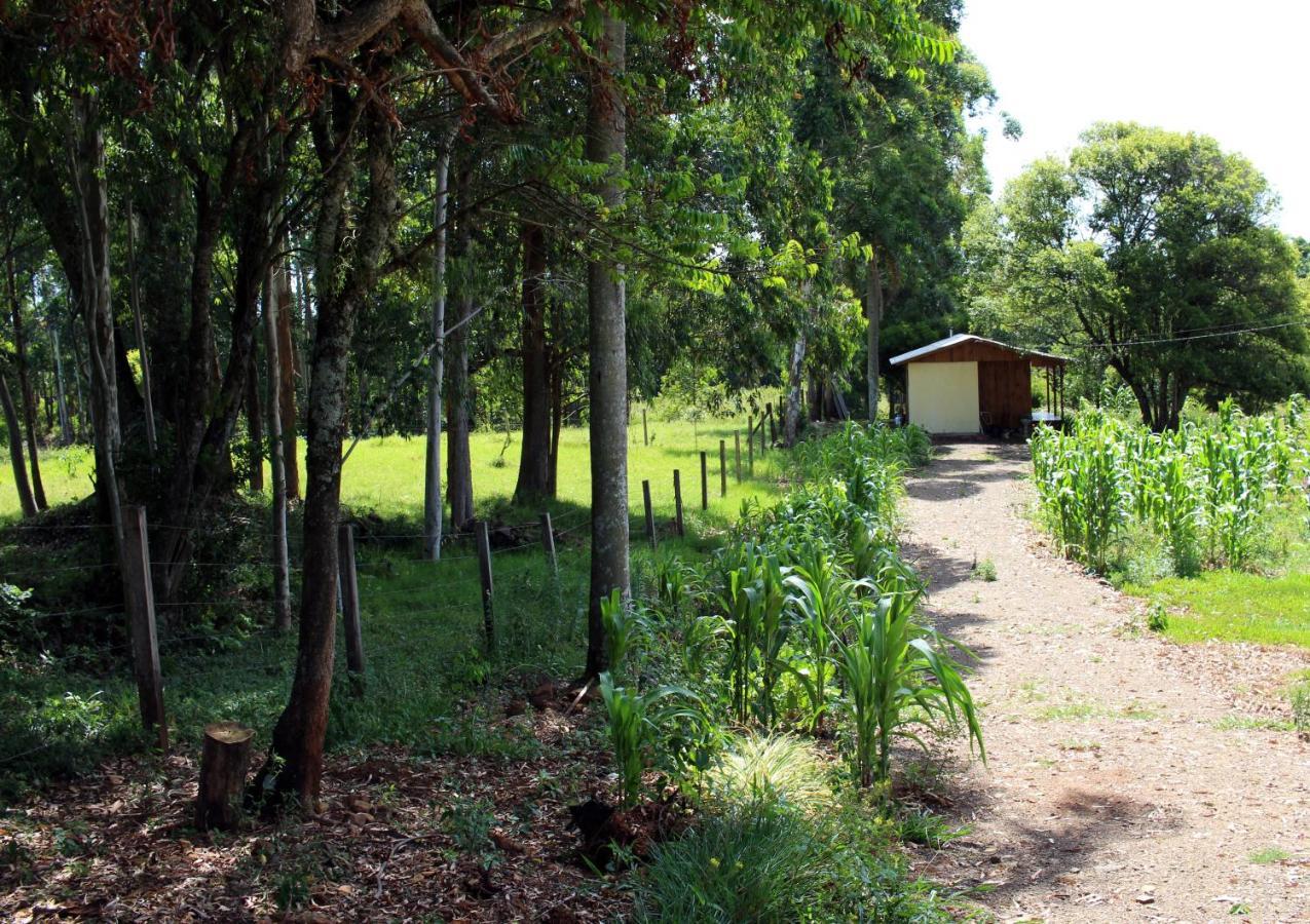 Cabana Na Serra Gaucha! 피카다 카페 외부 사진